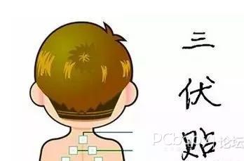 1、三伏貼有用嗎？效果好嗎？